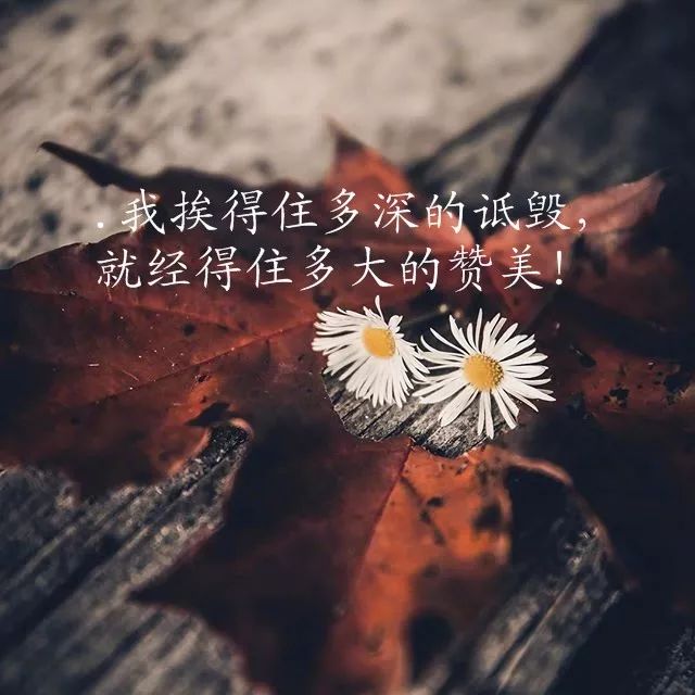 幕池文案馆|写到心窝里的经典情感语录，字字透彻，句句触动心灵！