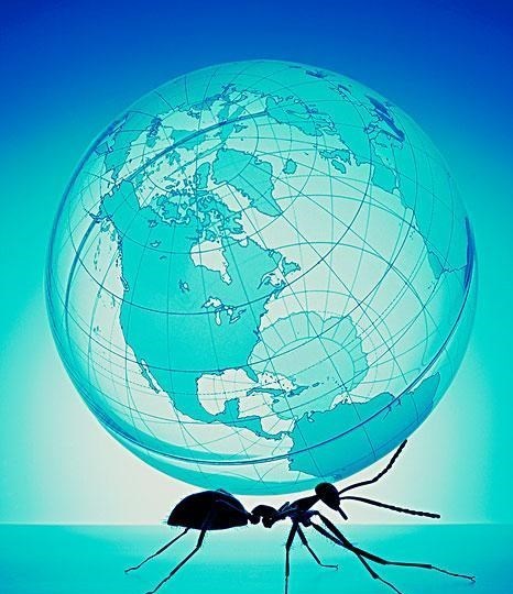  蚂蚁没大脑，处于二维空间，它们真的感知不到人类的存在吗？