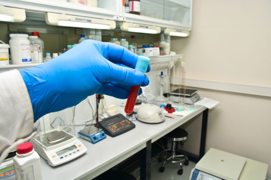  生物相容性检测