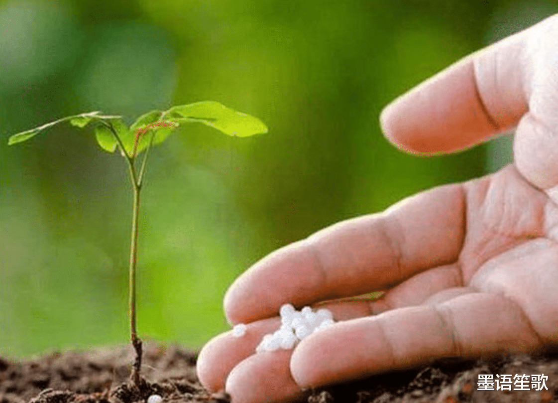 商人 他攒6.8吨尿液提取黄金，把5000升煮沸后，发现一物质改变世界