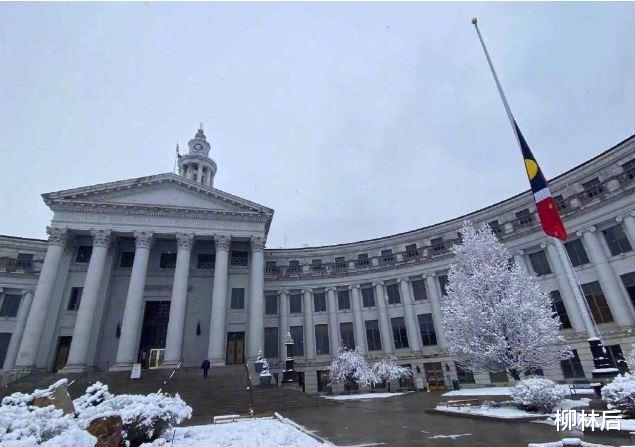 悬崖之上|郑爽庭审现场迷惑发言，法官都懵了