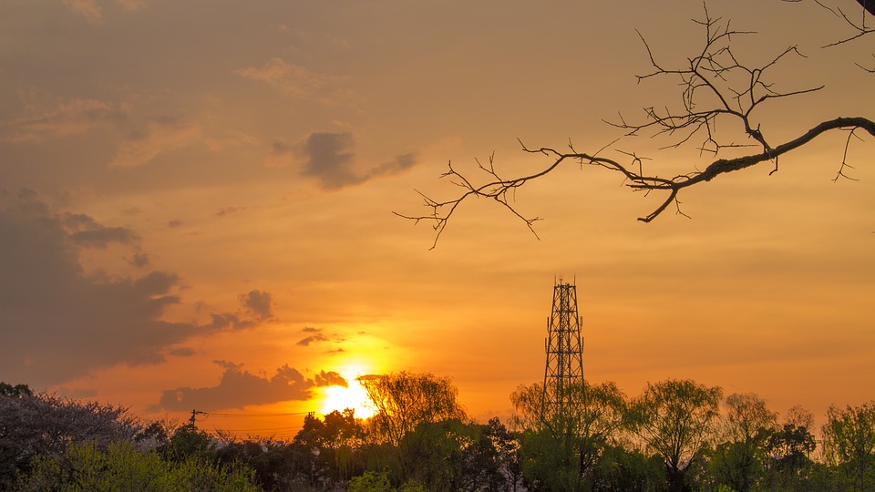 小猫咪的星座故事|感悟爱情忧伤的好句子，干净唯美，值得收藏