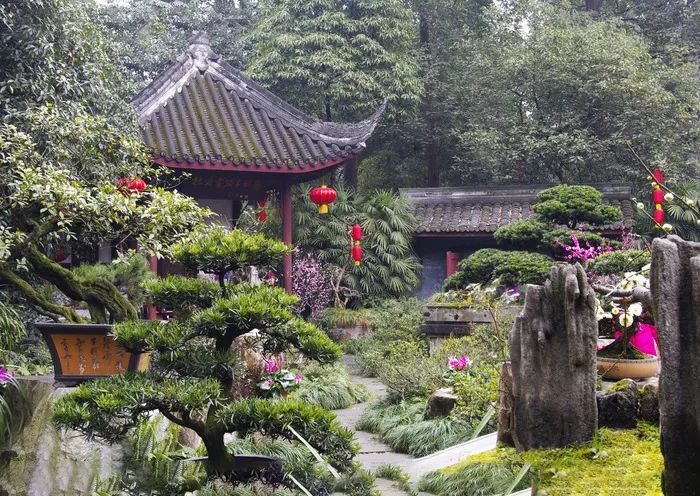|中式庭院里除了梅兰竹菊，还有这些寓意好的植物，你知道几个？