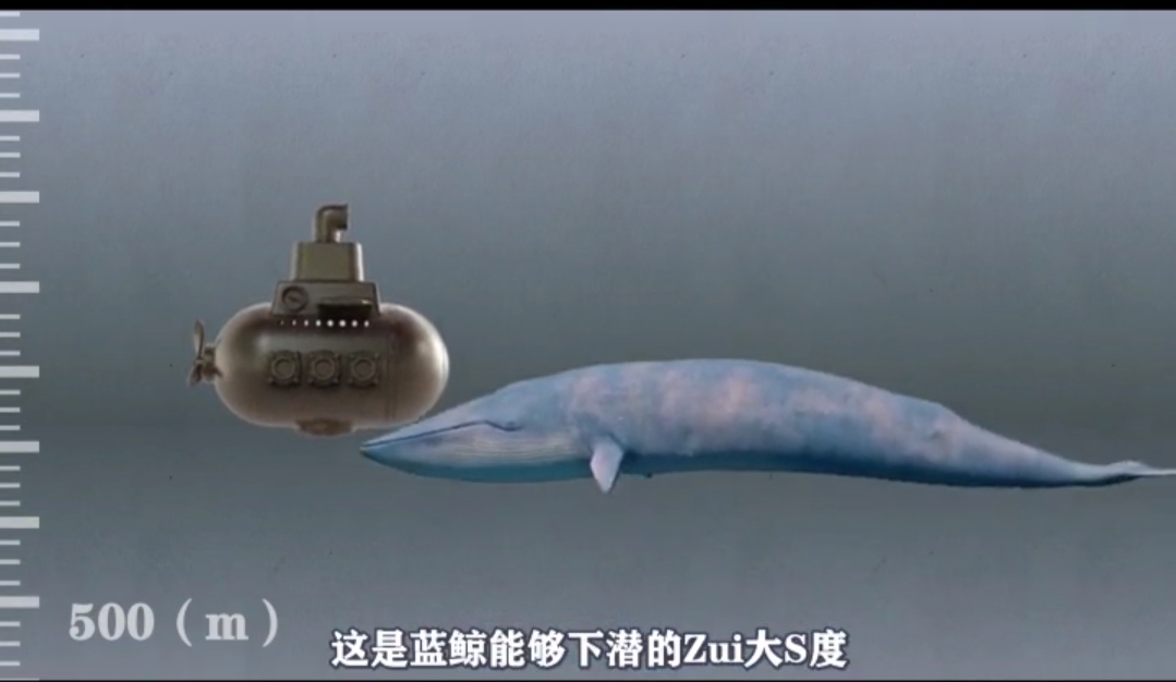 马里亚纳海沟 一万米下的海底世界你不知道的奇观!