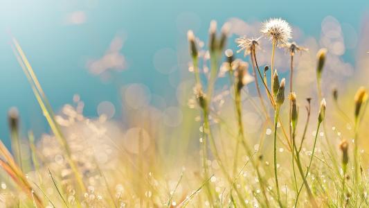 pua|鬼谷子二：逃离职场PUA，远离精神控制，请牢记三点