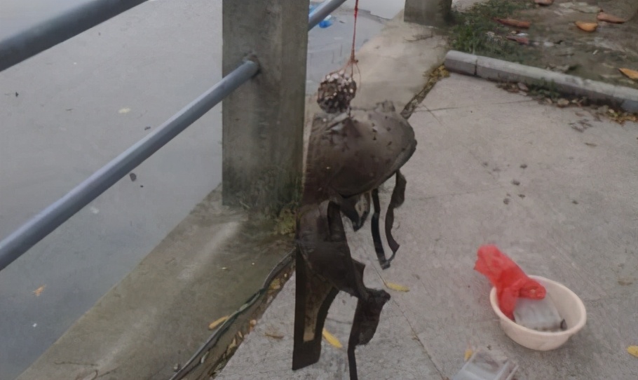 |这些年，你都钓住过哪些奇葩？