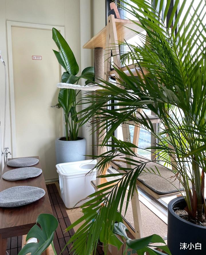 晒晒她的110平翻新房，找不到设计师，自己大胆发挥！幸亏没翻车