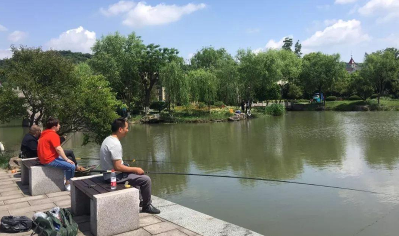 |野钓鲤鱼,要以守为主,灵活应变