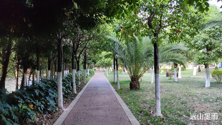 远山墨雨 昆明盘龙江边绿树浓荫、叶子花开，春来江水绿如蓝的景致，美