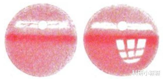  杀人后挖去死者眼球，害怕视网膜记录凶手特征，这种说法科学吗？