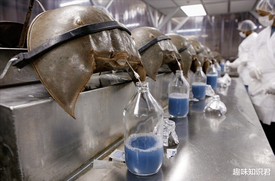 8条关于超级有趣的冷知识,你知道多少呢?