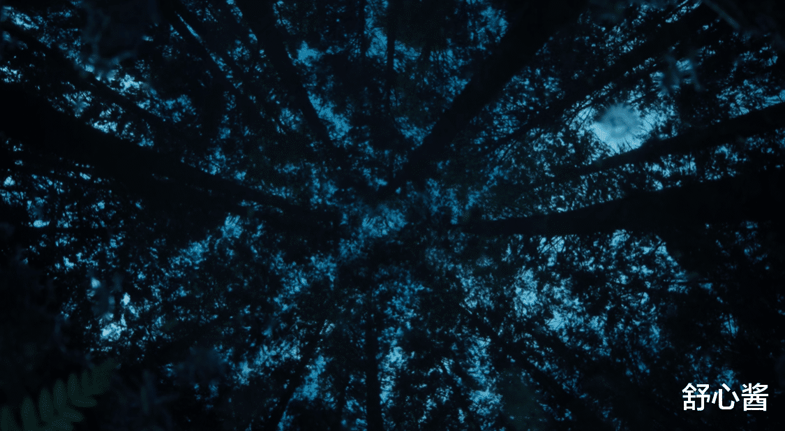 全智贤|全智贤后半段才上线！全员工具人？高分韩剧的破灭之路