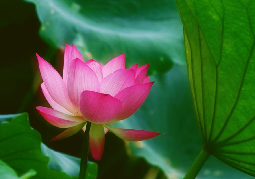 |8月起，财运一飞冲天，3大属相天降贵子，贵人相助，富贵不愁