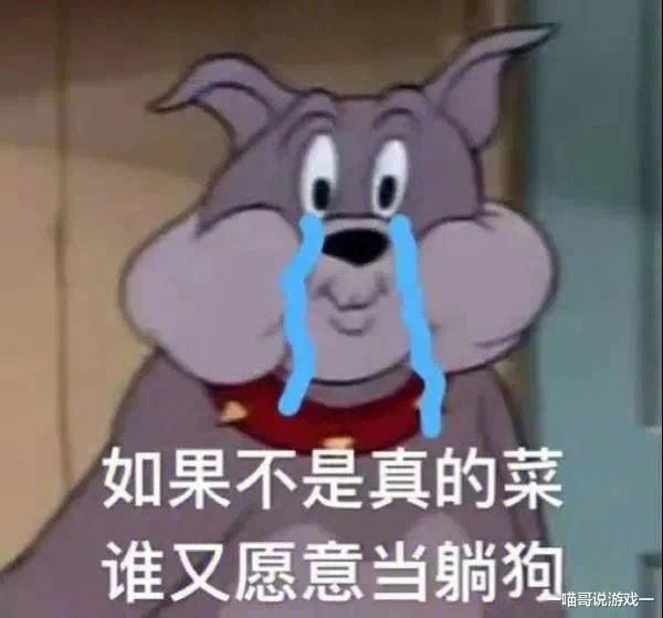 鲸鱼|江湖路远不包邮，各位大侠散排那么多个赛季，有什么心动的队友吗
