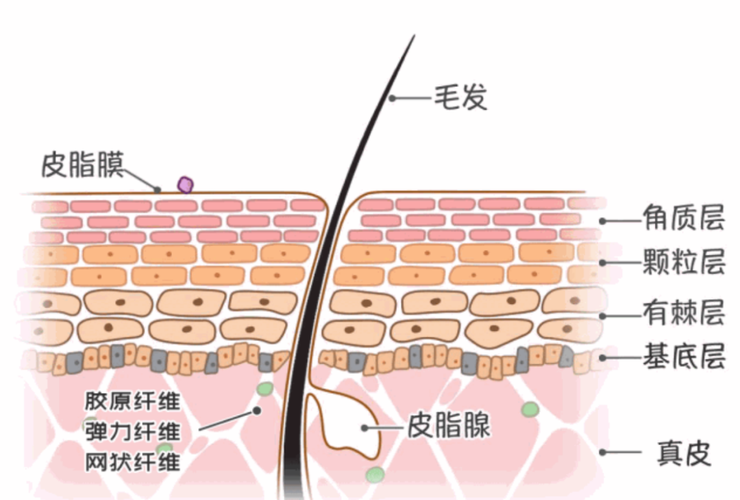 NASA 在太空3个月，航天员咋处理个人卫生问题？回来身上是不是臭的？