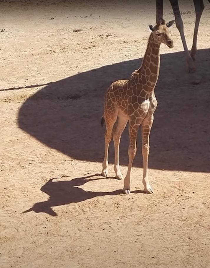 海之归墟|32张不可思议的照片,证明影子也会“骗人”
