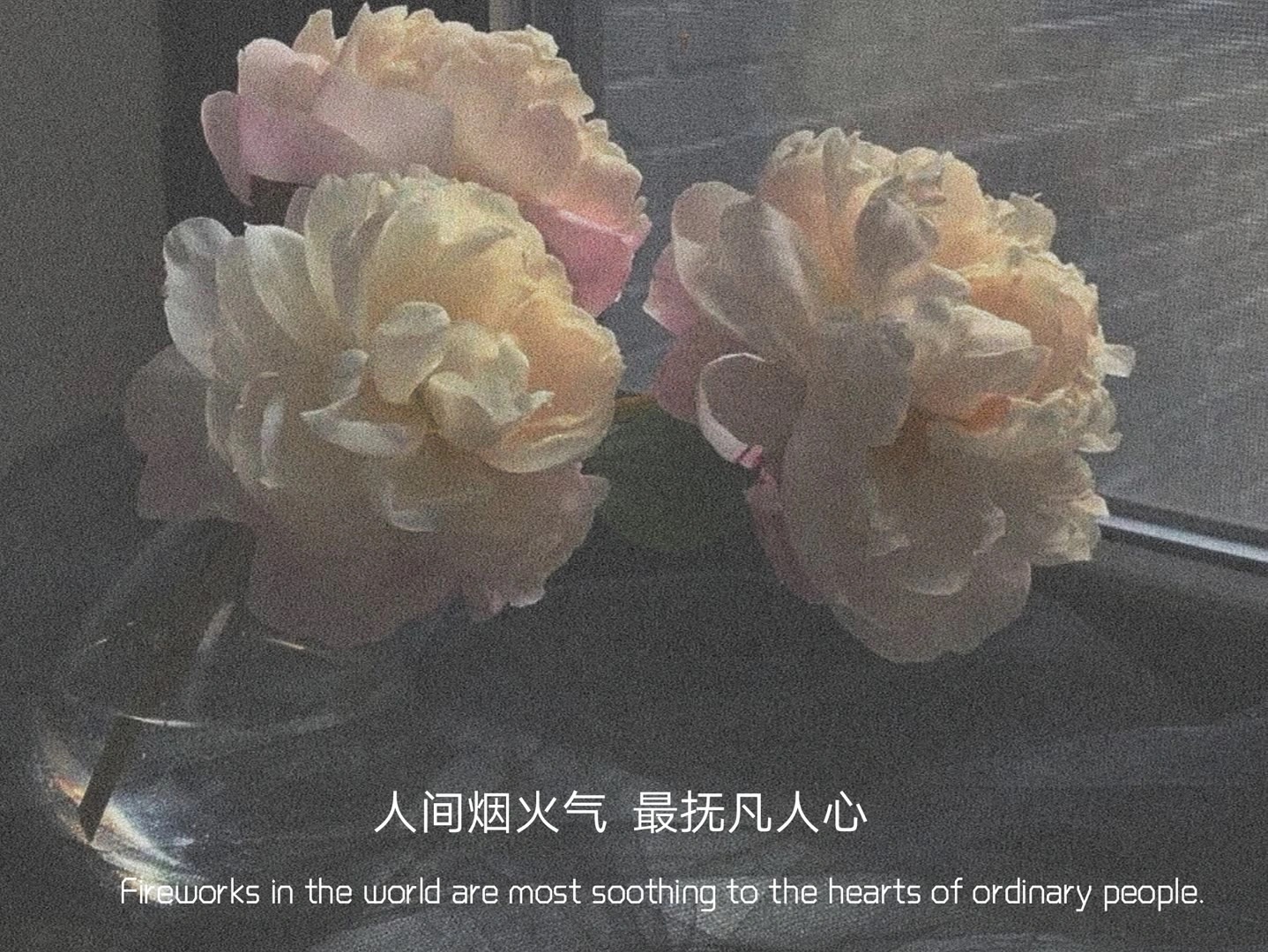 文案黑板报 适合心累时发的文案