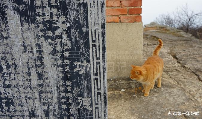 旅行|西安秦岭爬“野山”，山高谷深四下无人，一只橘猫为我领路