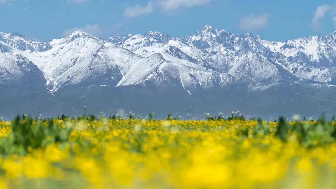 汝州广播电视台 今日立春：愿我们，不负春光，不负自己