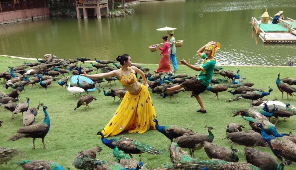 爱玩的小峰 西双版纳迎来火车站，将结束无铁路的历史，预计今年年底开通