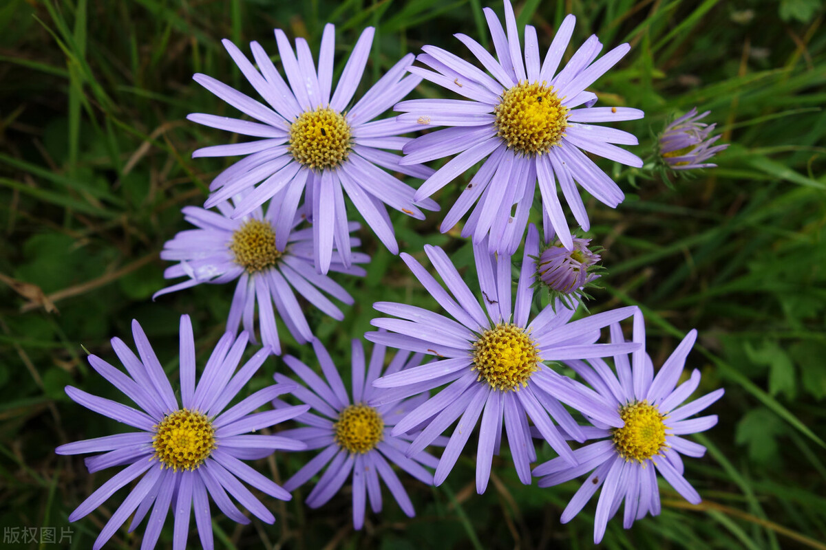 抗体 走进生物的世界，模拟生物的生存环境，通过实验来了解一下吧