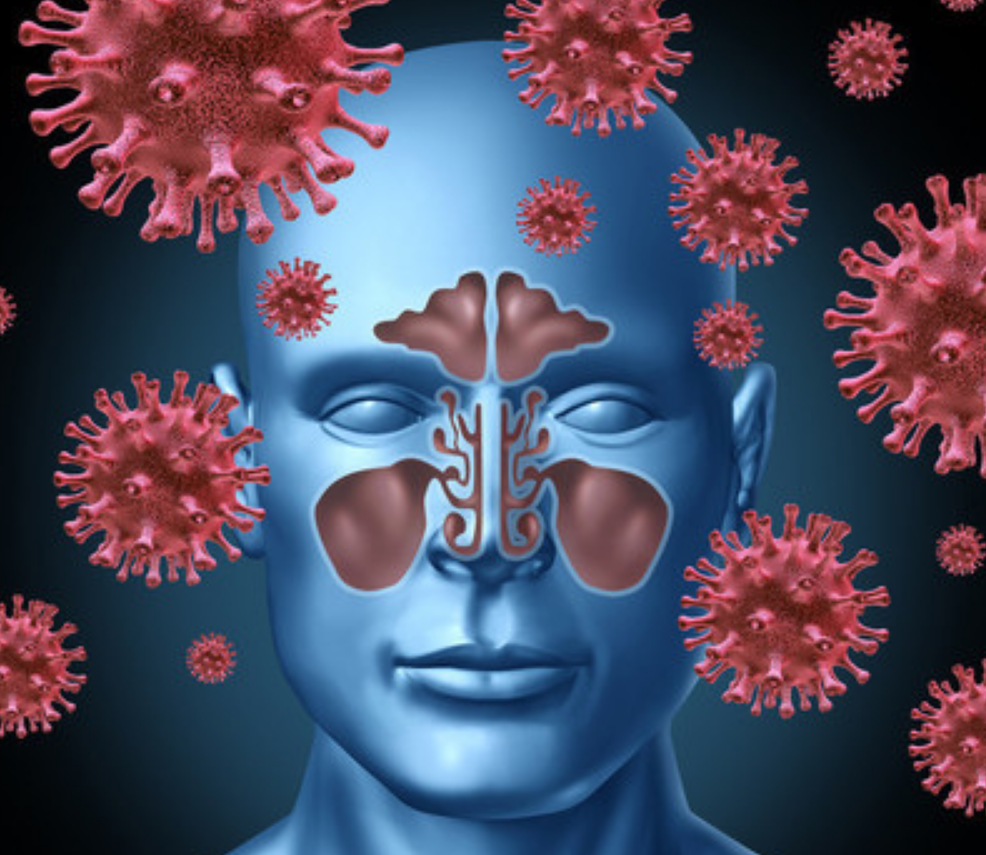 郝景芳 南极冰川若全融，使海平面上升至66米，我国哪些一线城市会消失？