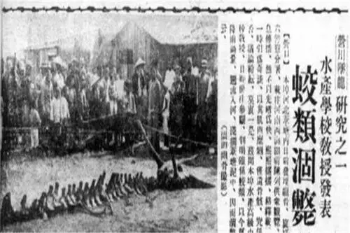 你相信世界上有龙吗 ?《探秘:营口坠龙事件》