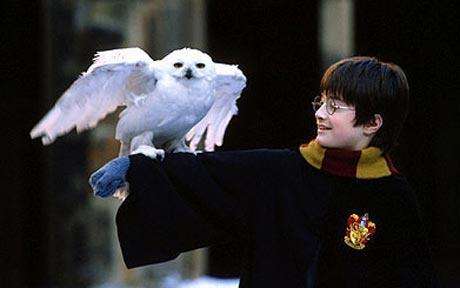 哈利·波特|《哈利波特》 ——冷知识