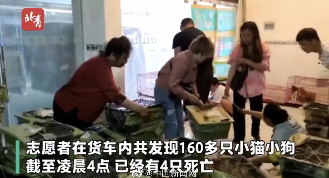 遇合情感攻略 出现尸体快递，央视怒批：你们还有底线吗？