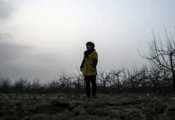 案件通报 试婚引起的毒杀案