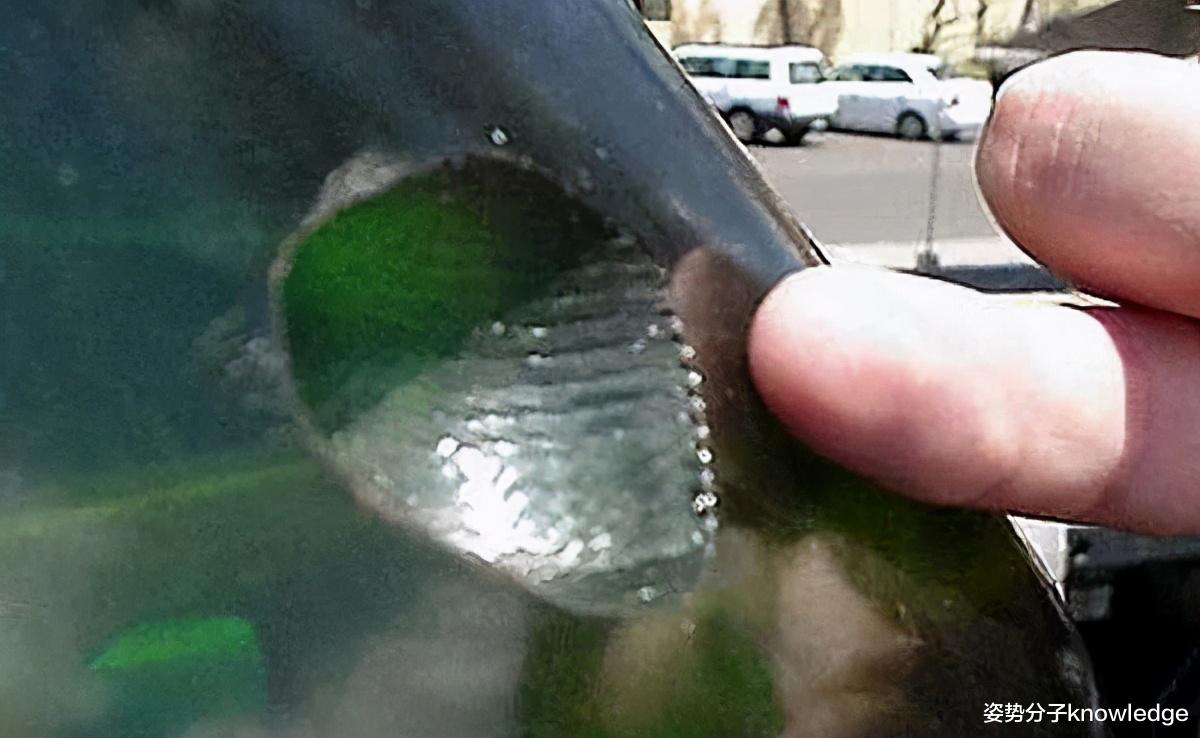 科学家 连大白鲨甚至军舰都不放过，体长仅50厘米的雪茄达摩鲨，有何本领