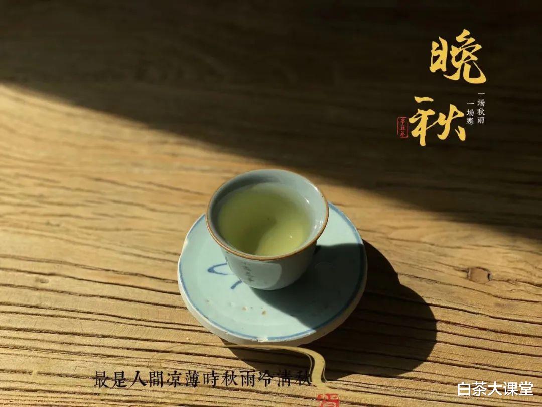 茶具|玻璃杯、白瓷盖碗、紫砂壶，哪个更适合冲泡老白茶？