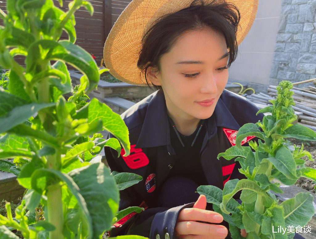 张馨予|张馨予晒莴笋丰收火了，吸引4万网友点赞，网友：嫁对人气质都变了