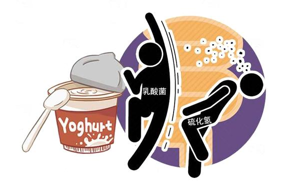 医生胡侃|清洁肠道的“救星”被发现, 若你爱吃, 有助消化,还能给肠道洗洗澡