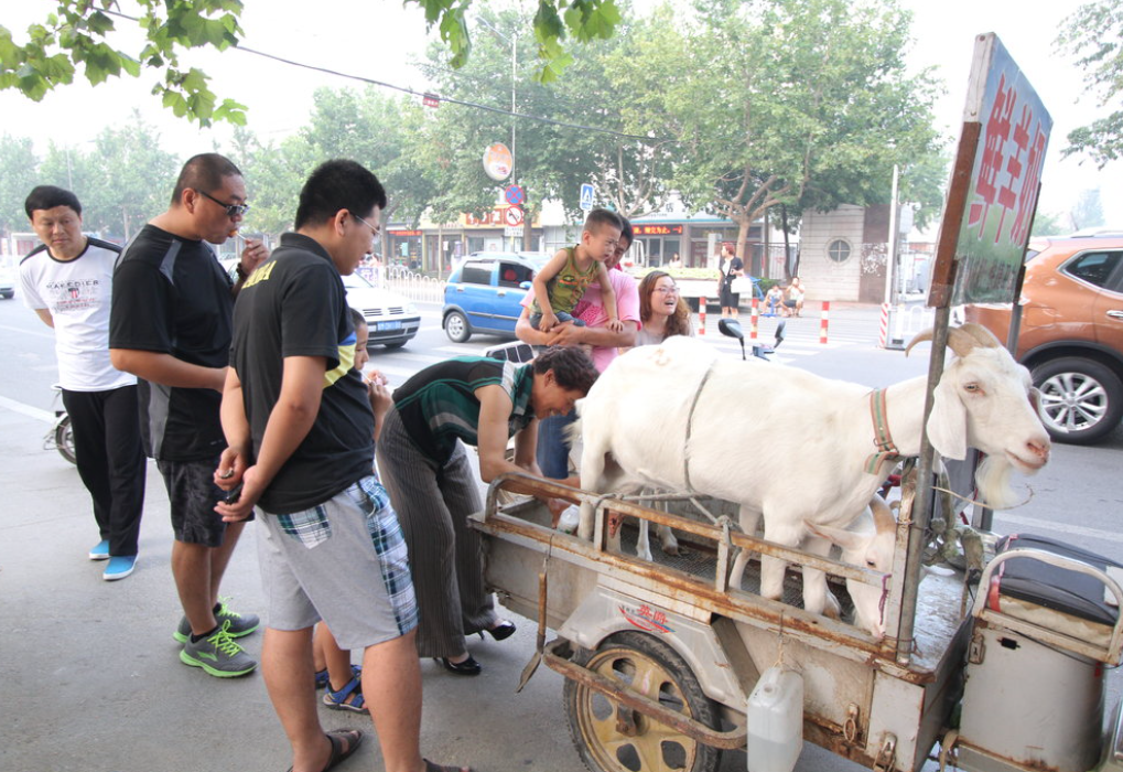急诊室老苗|现挤的奶才够鲜?2岁女童喝奶致中毒性脑病,这些食物少给娃吃