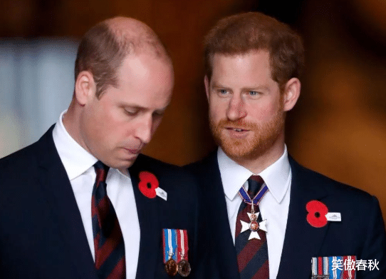 许晴|哈里出生时那一头红发，刺痛查尔斯敏感的心，和戴安娜彻底翻了脸