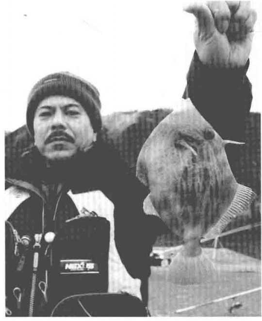 海钓|海钓剥皮鱼马面鱼，垂直和投钓两种法最有效，日本专业海钓入门投