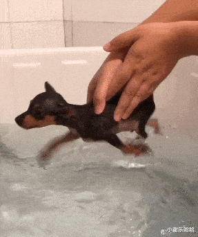 |“办公室女老板桌子上发现了个塑胶棒，这是什么棍子？”哈哈哈快藏起来