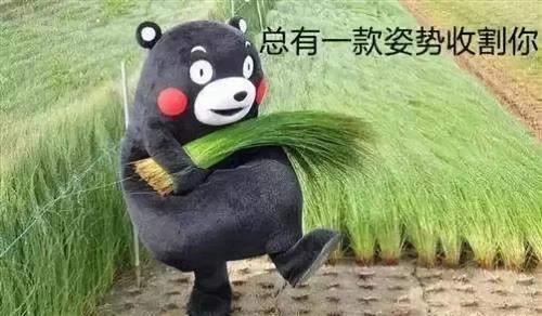 老太偷邻居水仙包饺子,导致孙子中毒,索赔40余万元,坏人变老了