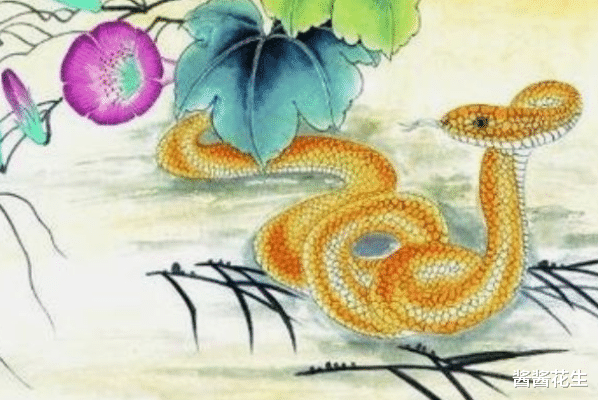 酱酱花生|8月开始,贵人指路,吉星照拂,再苦也能咸鱼翻身的三大生肖