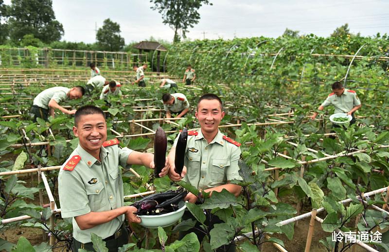 职业教育|孩子当了六年兵，再当六年有个稳定的工作，他想回来，怎么办？