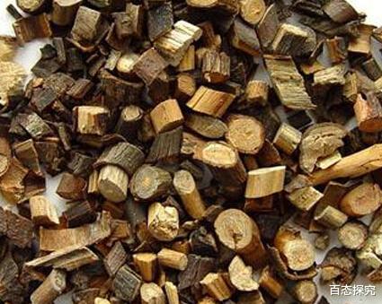 痘痘|桂枝药到病除