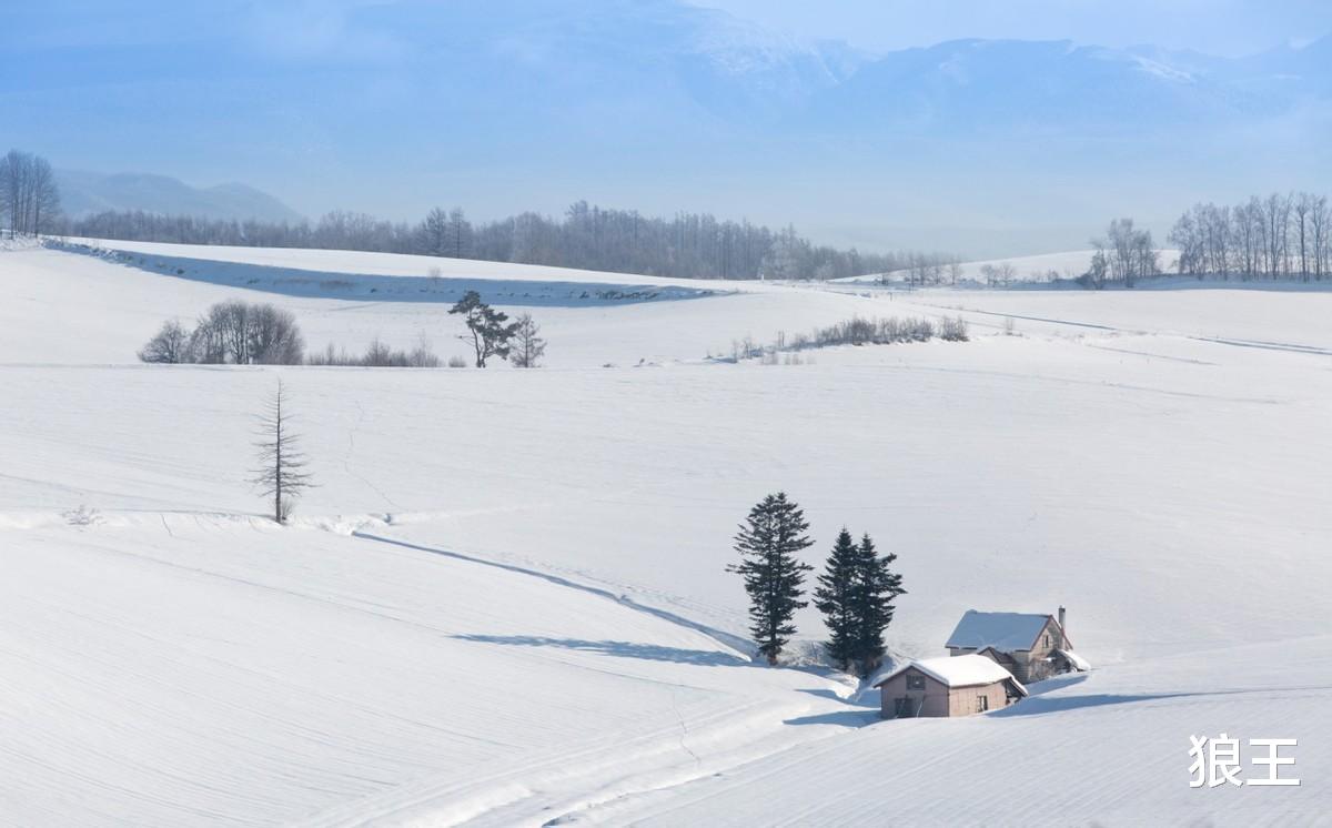 狼王|女子轰走了想鸠占鹊巢的小叔子一家,还是做恶人自己心里痛快!