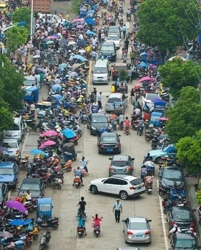 家有二宝育儿|大学教授怒批“家长接送”行为，直言会毁了孩子，家长回怼太真实