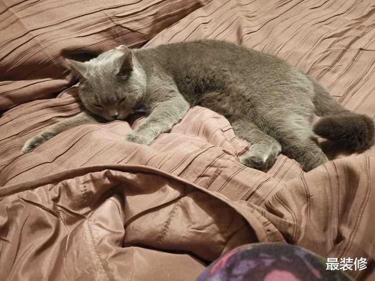 72平，两人两猫，虽然家不大却足够温馨，随手一拍就很舒服！