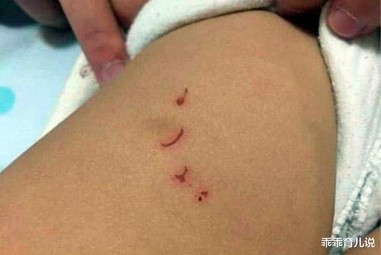 乖乖育儿说|“你是垃圾桶里捡的”，5岁女童听完离家出走，网友：别再坑娃了