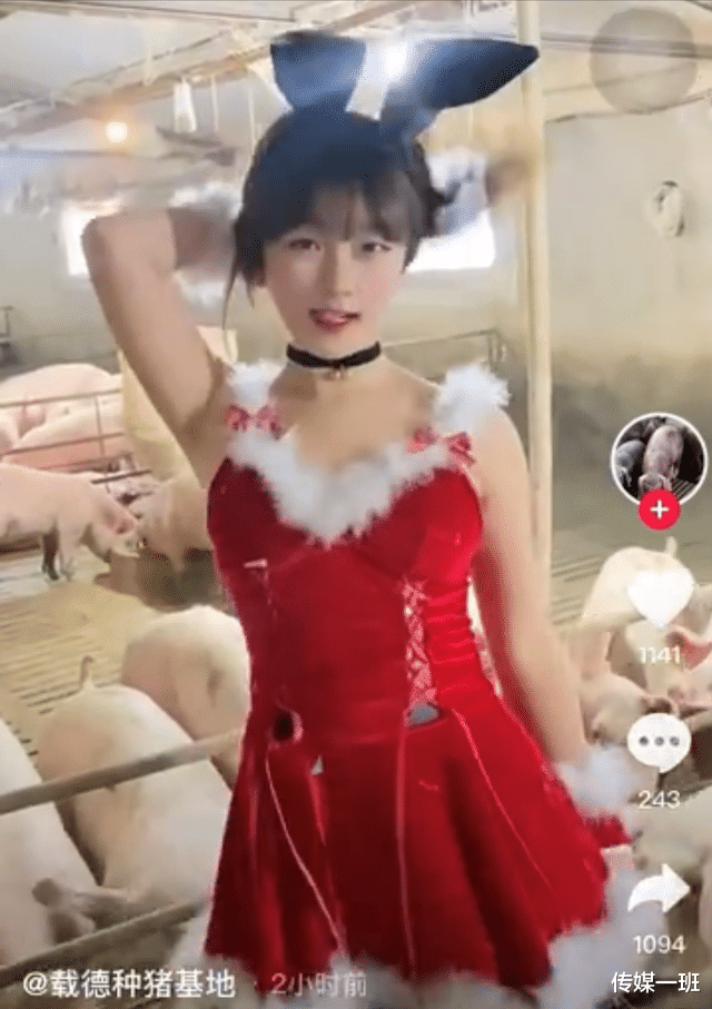 |活久见！网红当“猪模”惹争议，另有百万粉丝主播打擦边博眼球