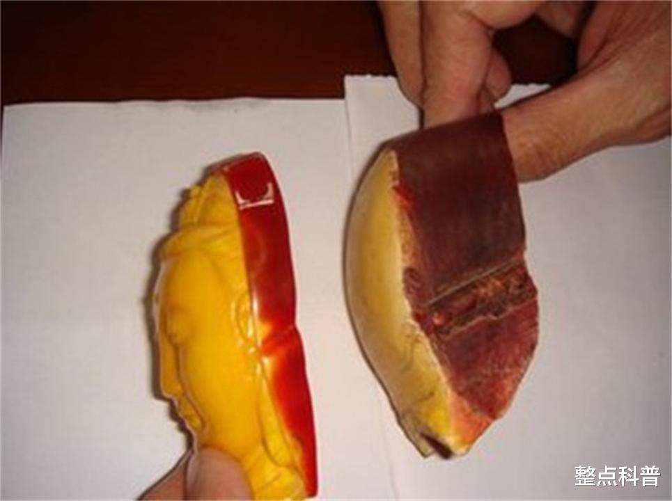 脑袋被人类盯上的鸟，头骨比象牙贵3倍，活着被取骨后只能等死