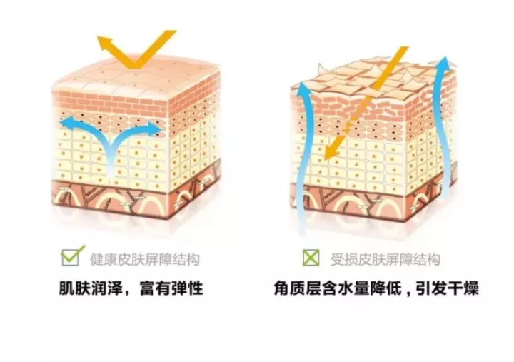萌萌一笔 敏感肌肤怎么做家庭护理？