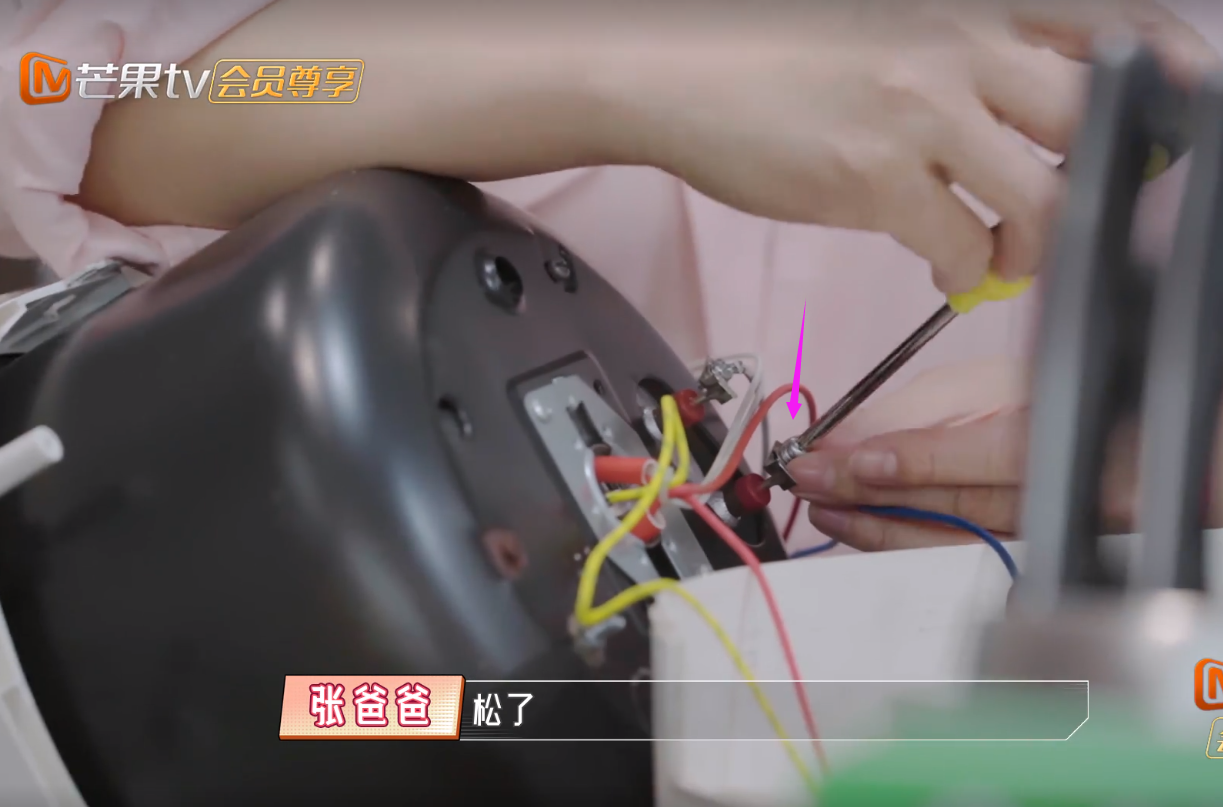 伊能静|陈松伶买水果一事暴露对公婆真实态度，公公几千公里背电饭煲找她修